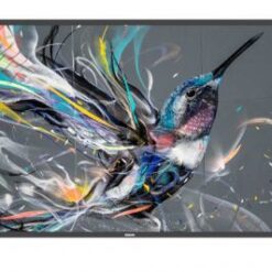 PHILIPS 65  Q-LINE  18/7, 4K UHD