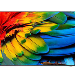 PHILIPS 65 TV ANDROID 4K 350 CD/M² WIFI HDMI MULTIMEDIALE