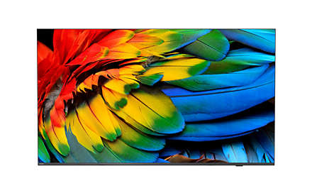 PHILIPS 65 TV ANDROID 4K 350 CD/M² WIFI HDMI MULTIMEDIALE