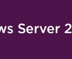 LENOVO WINDOWS SERVER 2025 CAL (50 USER)