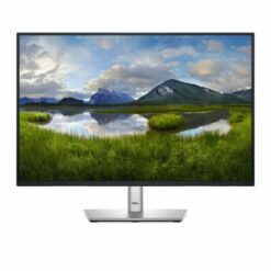 DELL 24 MONITOR P2425
