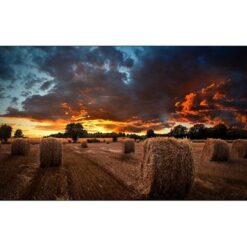 SAMSUNG MONITOR SAMSUNG VM46B-U PER VIDEOWALL 46