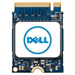 DELL M.2 PCIE NVME GEN 4X4 CLASS 35 2230 SSD
