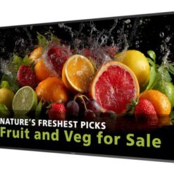 PHILIPS 65? D-Line,FHD,24/7,L/P, 600cd WiFi+Bluethooth